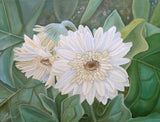 White Gerbera Poster och Canvastavla