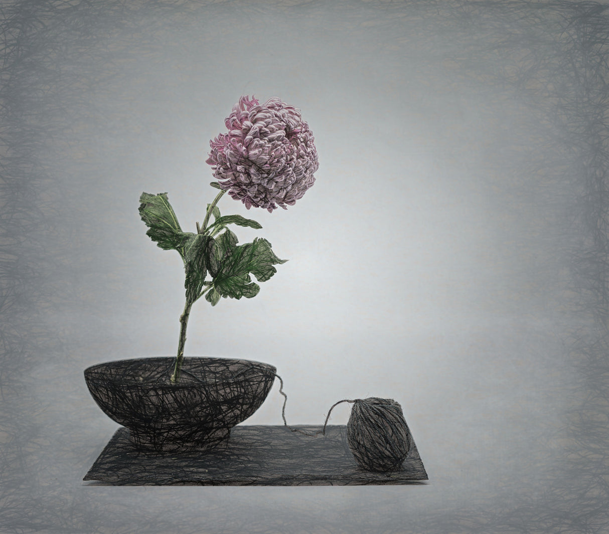 Zen impression with chrysant flower and a twist . Poster och Canvastavla