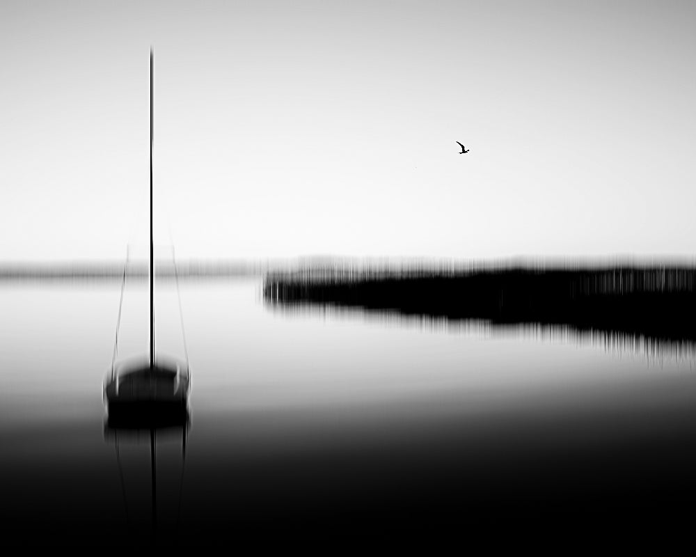 Neeberg - lonely bird Poster och Canvastavla