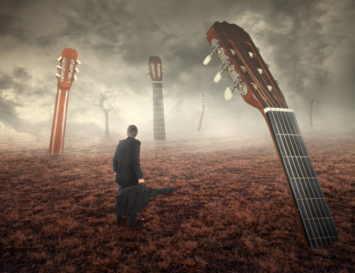 Guitar field Poster och Canvastavla