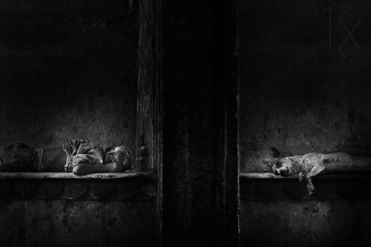 Sleeping !! Poster och Canvastavla