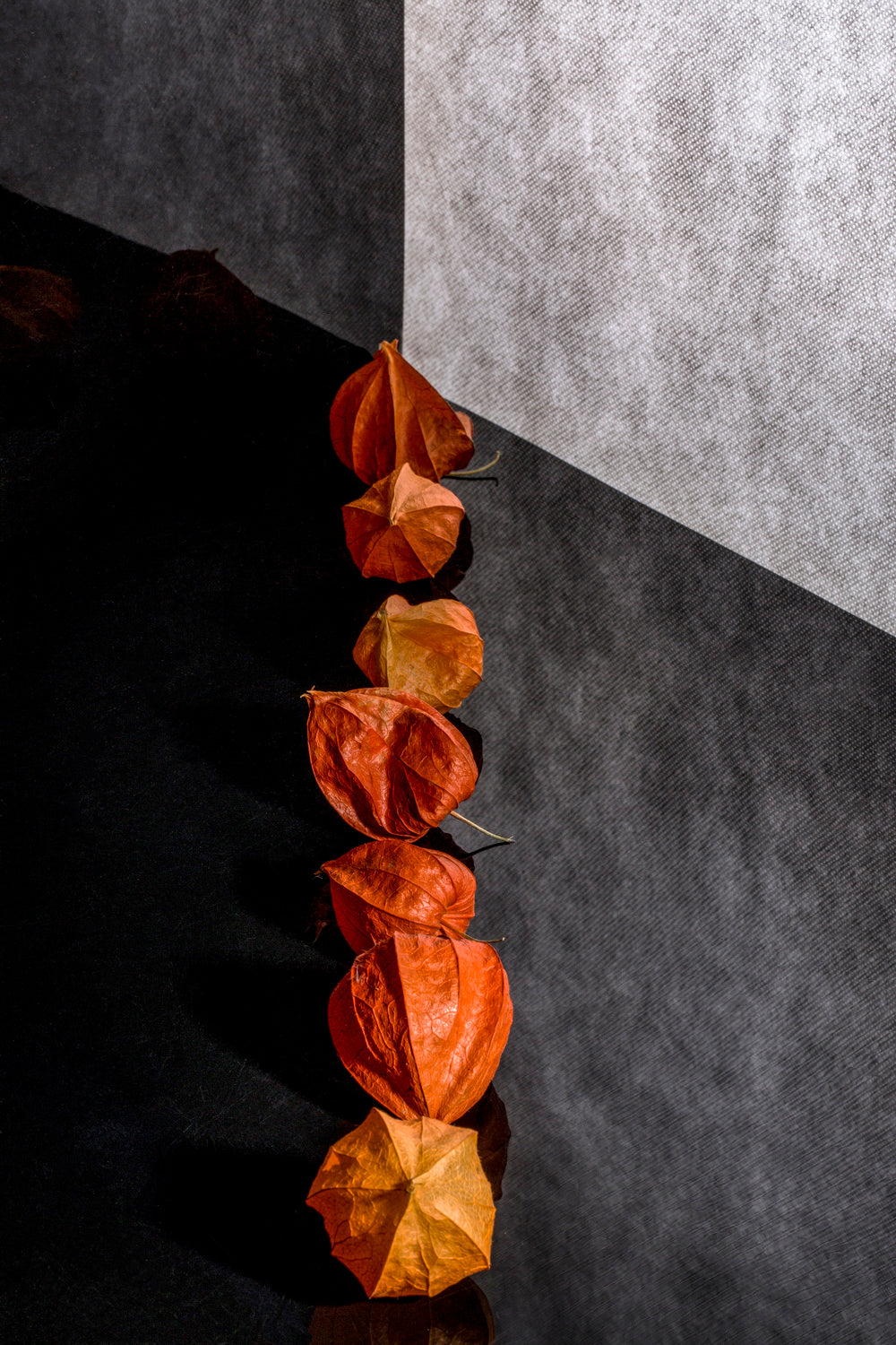Still life with physalis Poster och Canvastavla