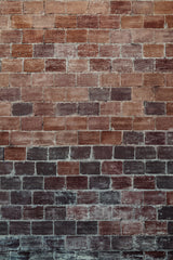 Brick Wall Poster och Canvastavla