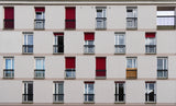 And one is yellow ... Poster och Canvastavla
