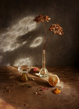 with limoll and hydrangea february light Poster och Canvastavla