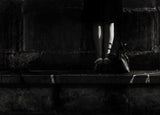 Legs and bag Poster och Canvastavla