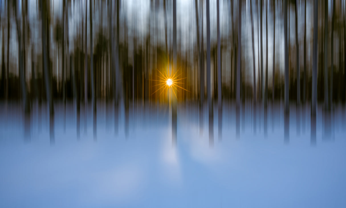 Sunset in the Winter Poster och Canvastavla