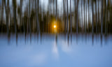 Sunset in the Winter Poster och Canvastavla