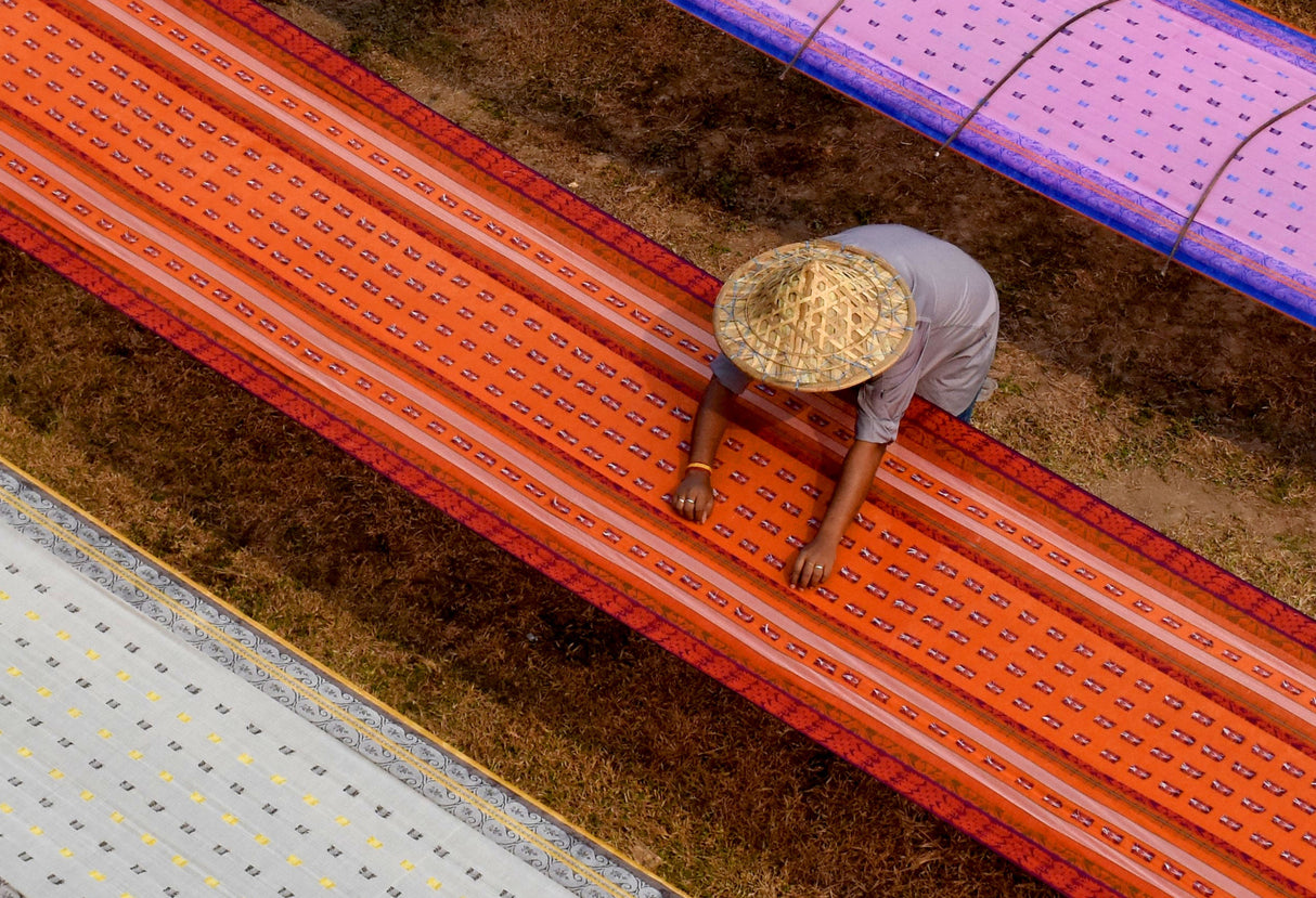 A worker in a saree drying field Poster och Canvastavla