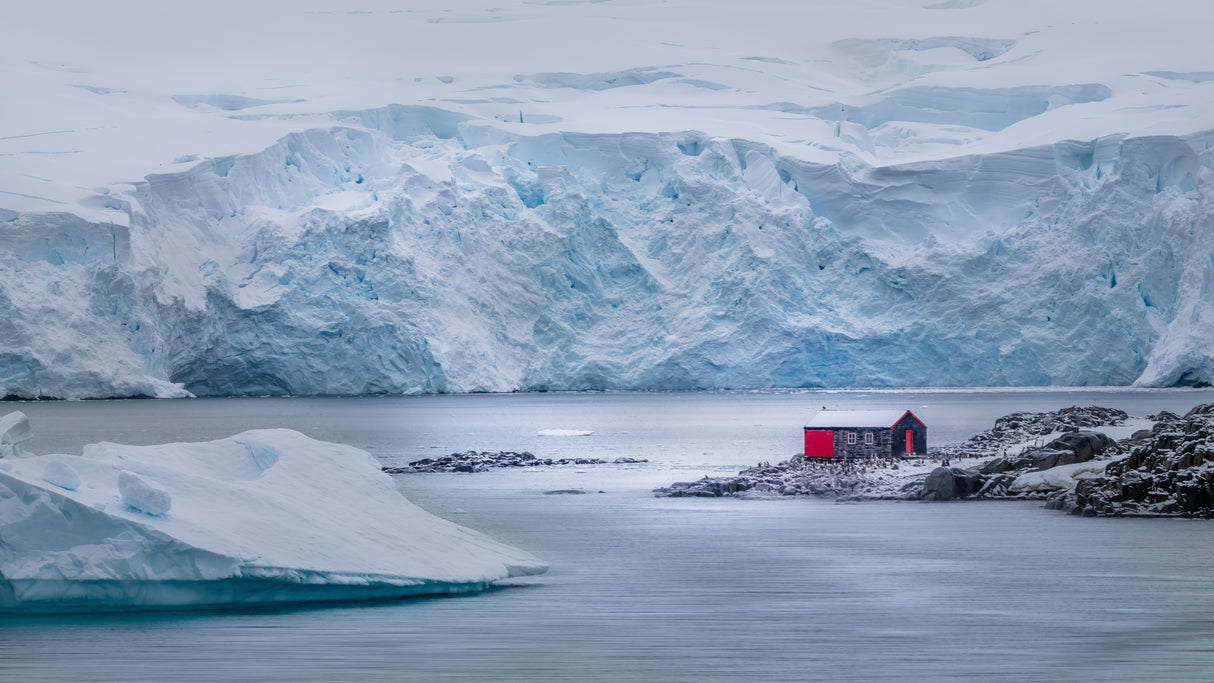In the Ice World Poster och Canvastavla