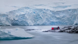 In the Ice World Poster och Canvastavla