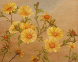 Yellow Daisies Poster och Canvastavla