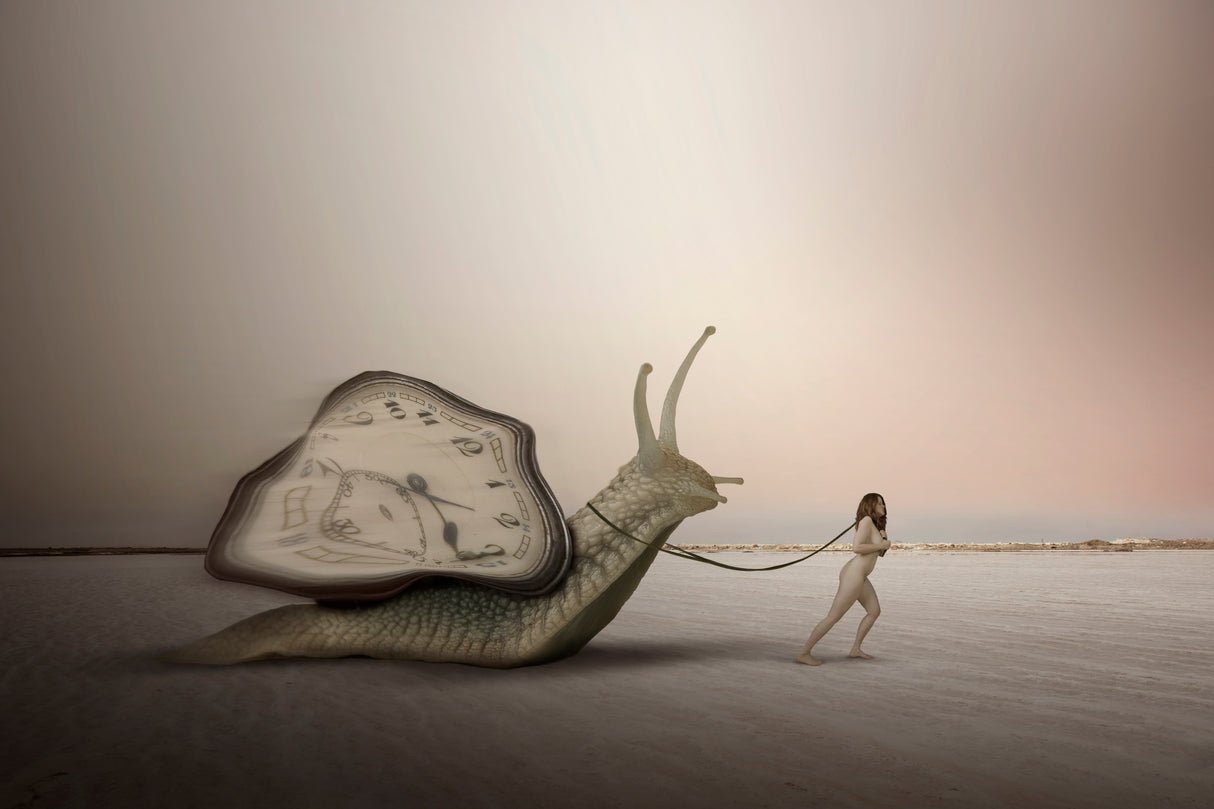 slowness of time Poster och Canvastavla