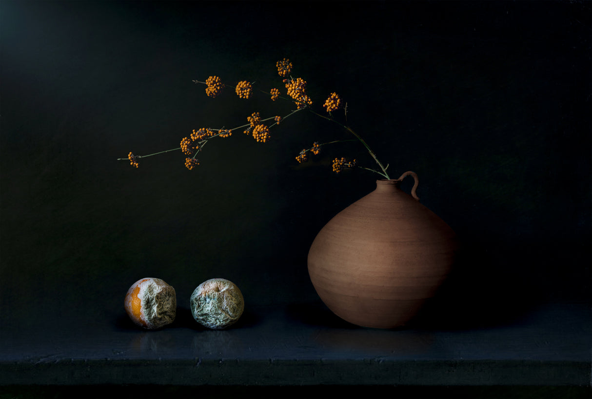 Still Life 2314 Poster och Canvastavla