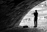 Music under the bridge Poster och Canvastavla