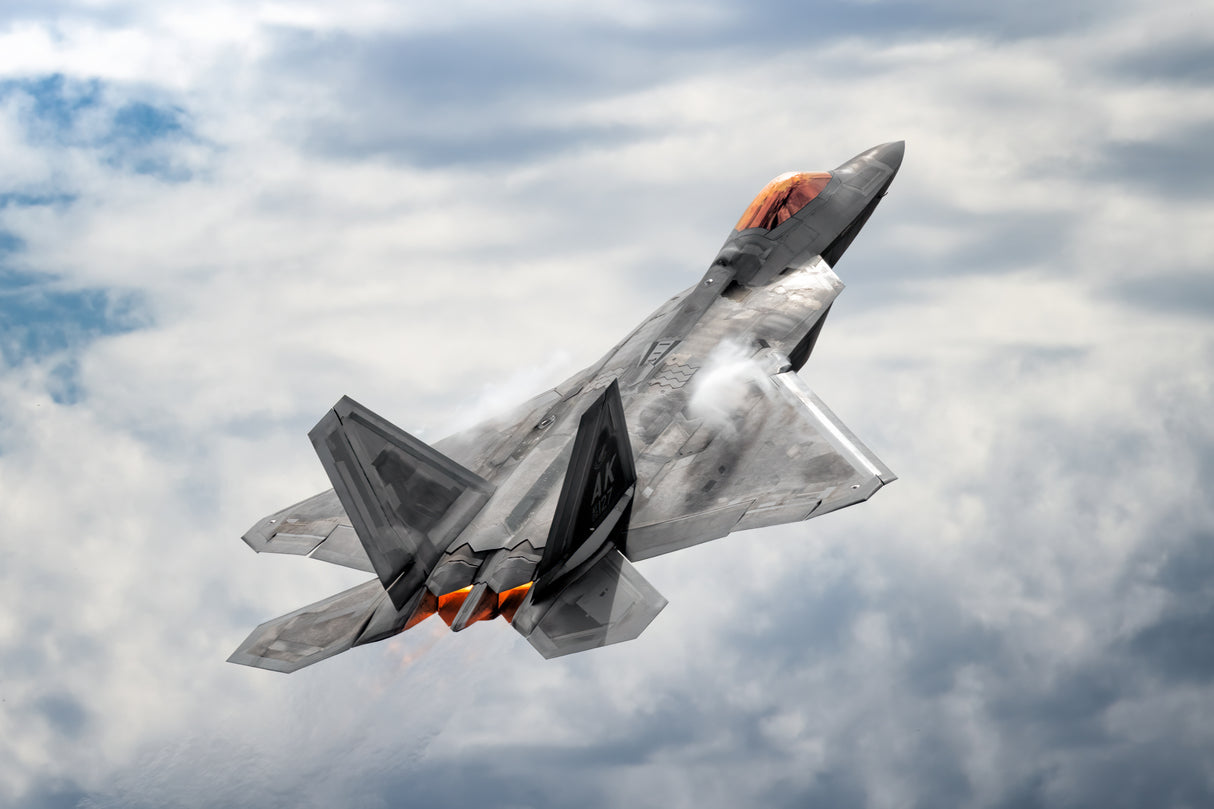 Raptor in the sky Poster och Canvastavla