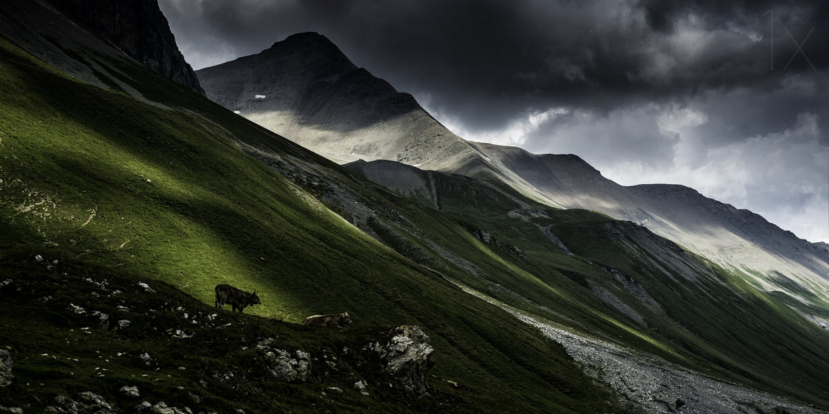 Albula Pass, Switzerland Poster och Canvastavla