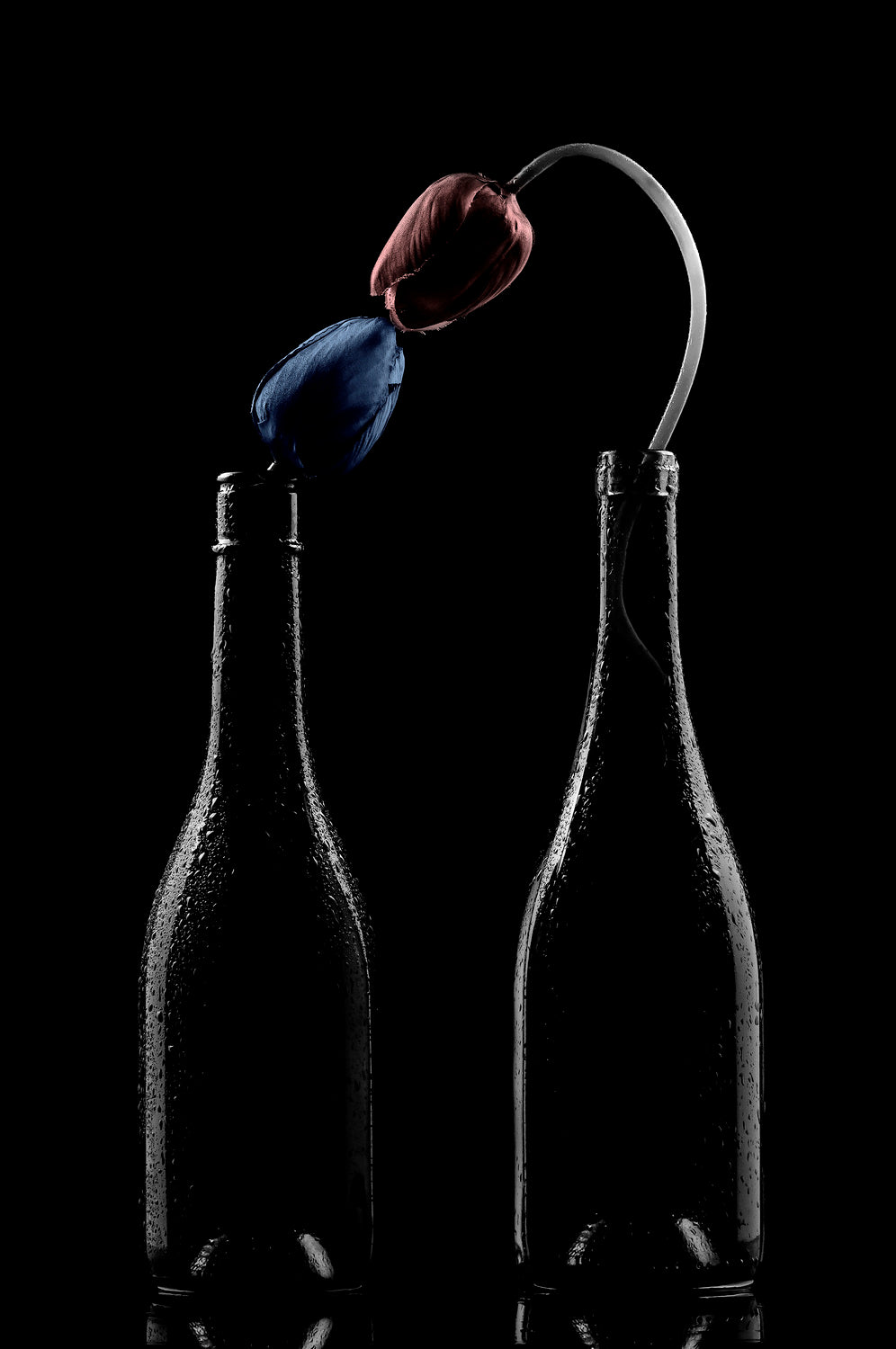 Kissing Flower in the dark Poster och Canvastavla
