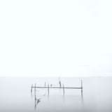 Fishing structure. Poster och Canvastavla