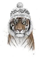 Siberian tiger Poster och Canvastavla