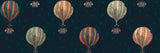 Hla014  Hot Air Ballooons Dark Poster och Canvastavla