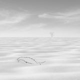 9Poems of silence Poster och Canvastavla