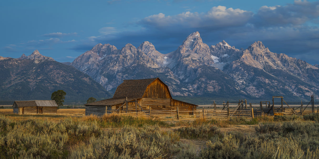 Teton Majesty Poster och Canvastavla