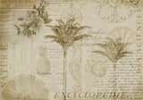 Tropical Encyclopedia Poster och Canvastavla