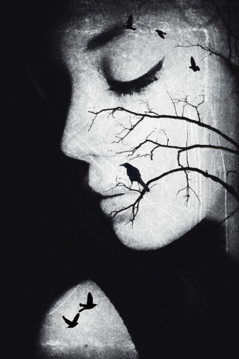 Birdy Poster och Canvastavla