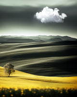 Fields Of Love..2 Poster och Canvastavla