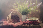 still life with Cherry Poster och Canvastavla