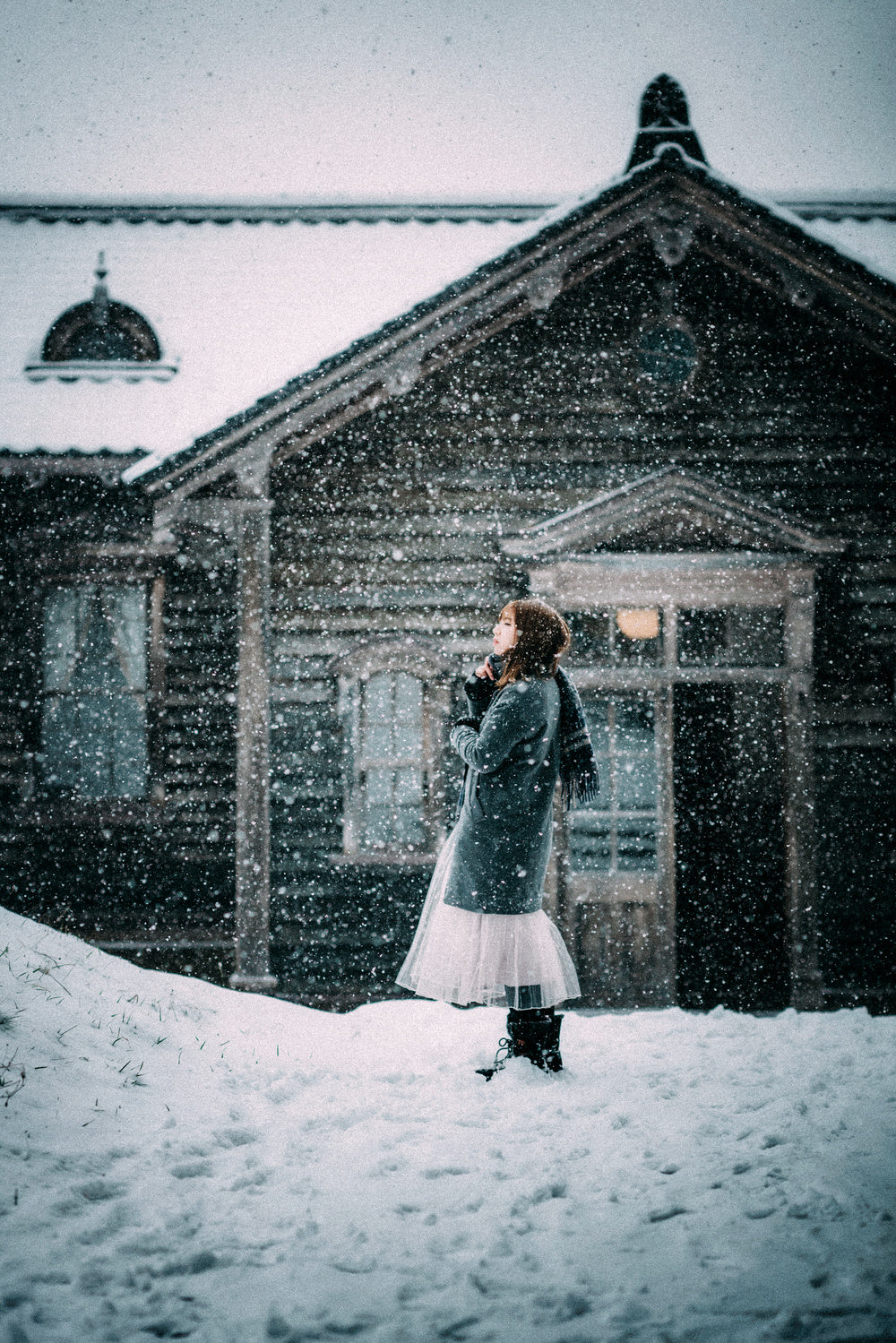 snow day Poster och Canvastavla