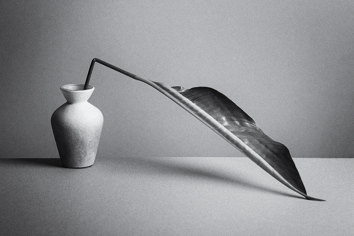 The Leaf Poster och Canvastavla
