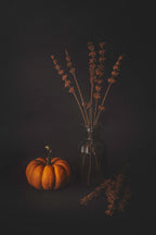 Lavenders and the Pumpkin Poster och Canvastavla