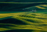 The View Of Palouse Poster och Canvastavla