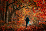 Walkies Poster och Canvastavla