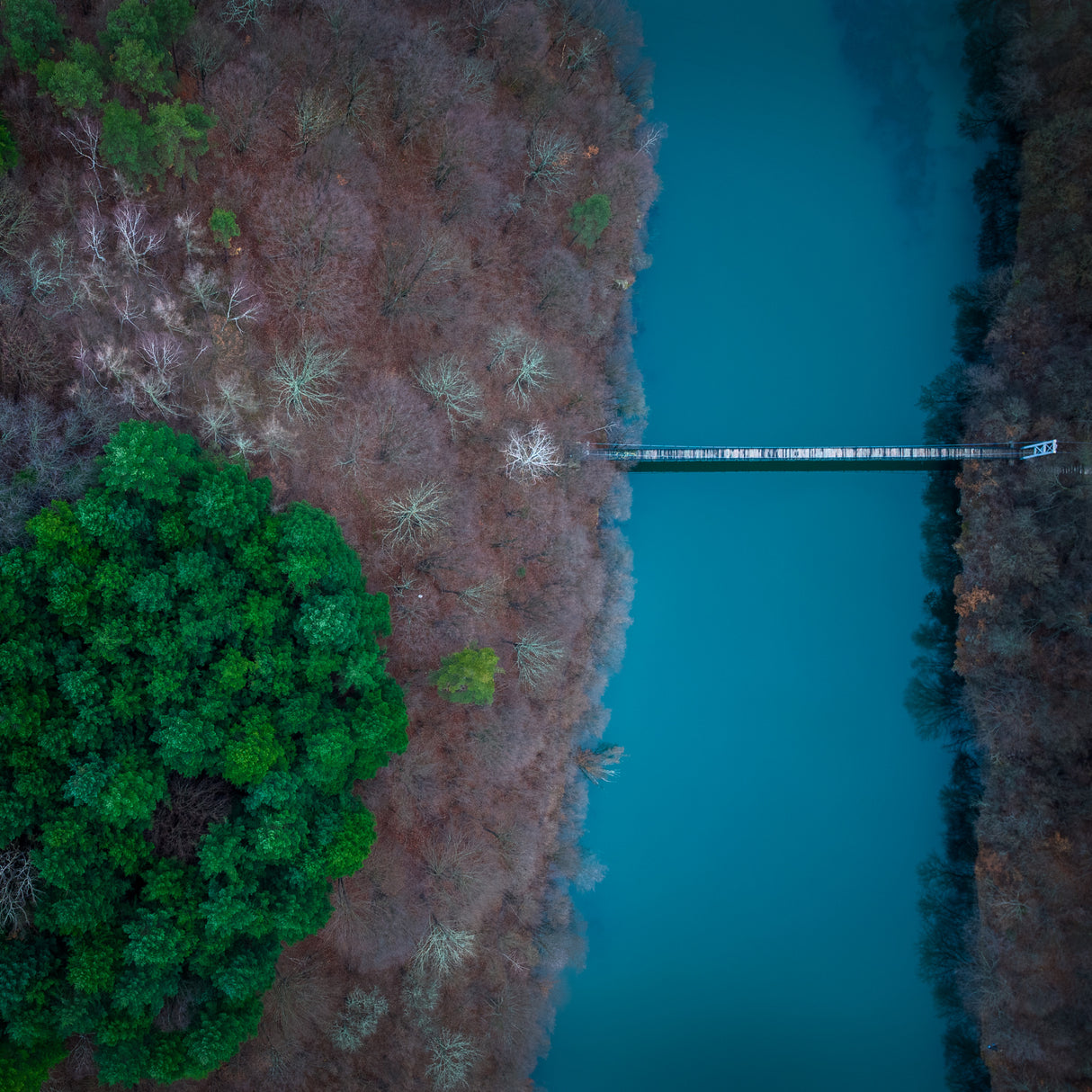 Suspended bridge near a Bulgarian village Poster och Canvastavla