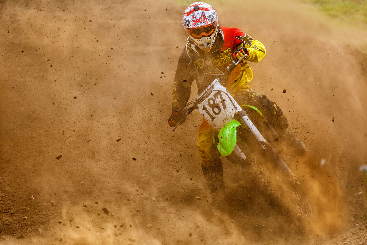 biker Poster och Canvastavla