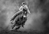 Pure Grit Poster och Canvastavla