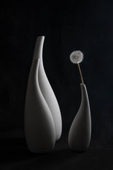 Dandelion Flower Poster och Canvastavla