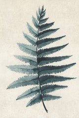 Teal watercolor fern 5 Poster och Canvastavla