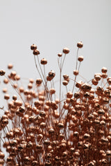 Dried Grass Copper 01 Poster och Canvastavla