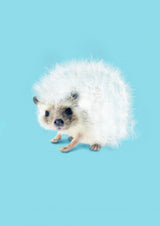 Prickly Like Dandelion Poster och Canvastavla