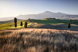 Paesaggio toscano Poster och Canvastavla
