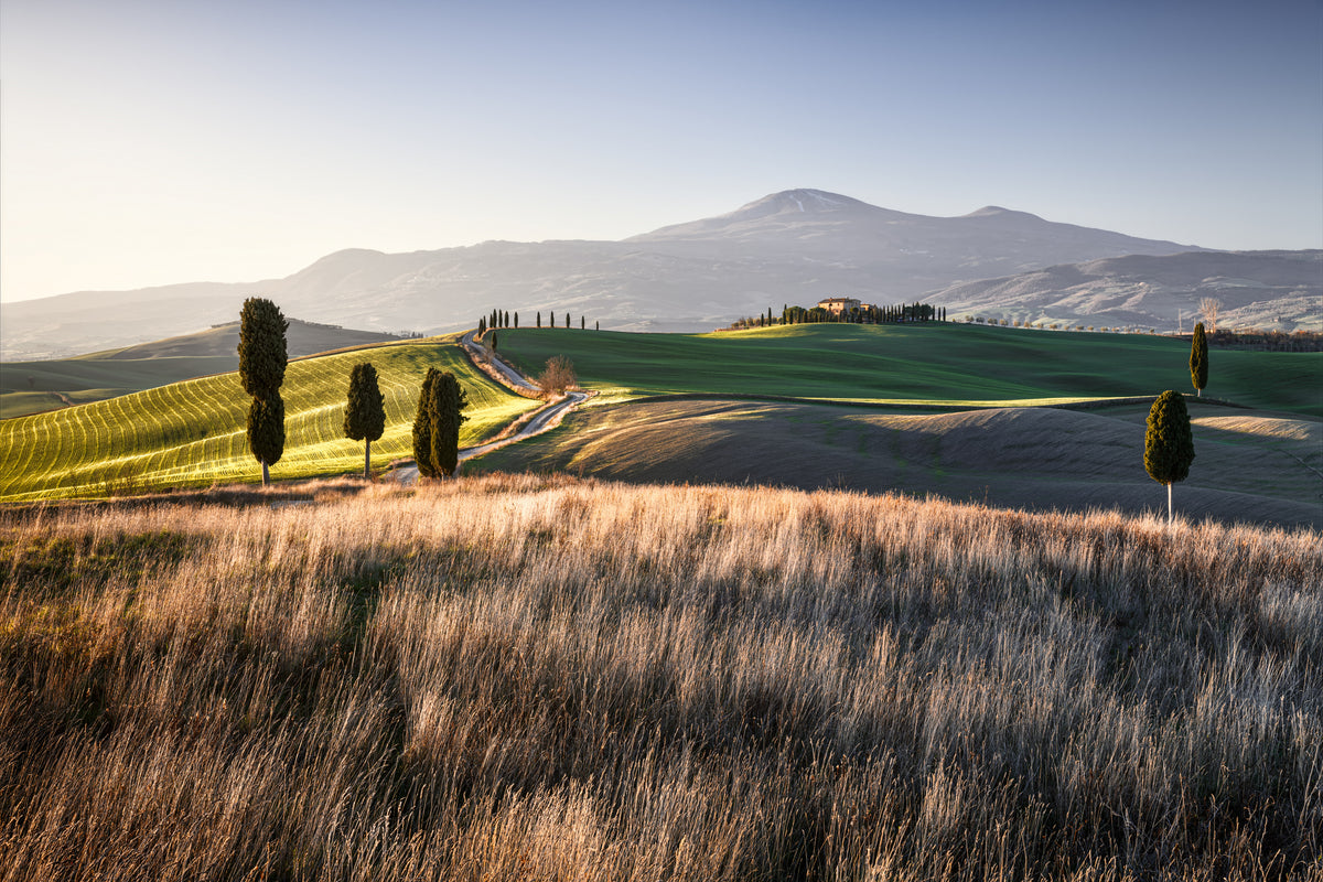 Paesaggio toscano Poster och Canvastavla