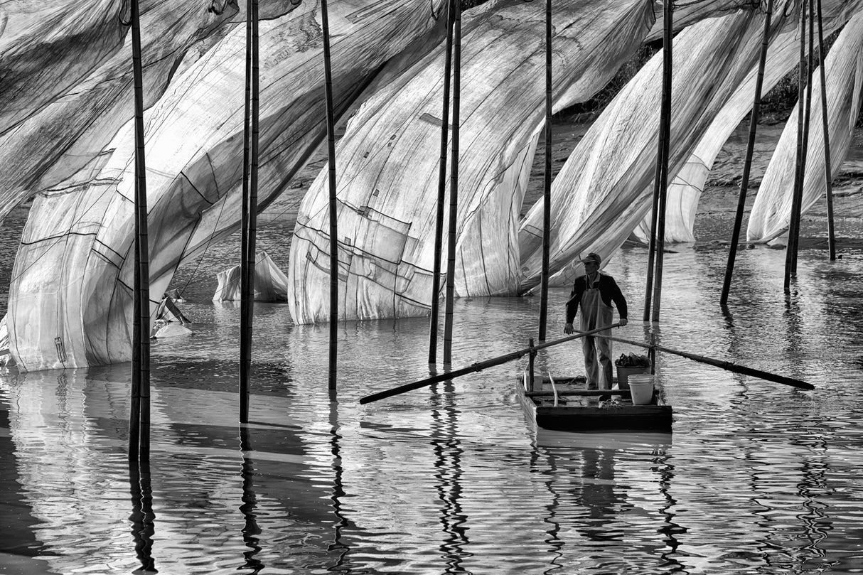 Fisherman at work Poster och Canvastavla