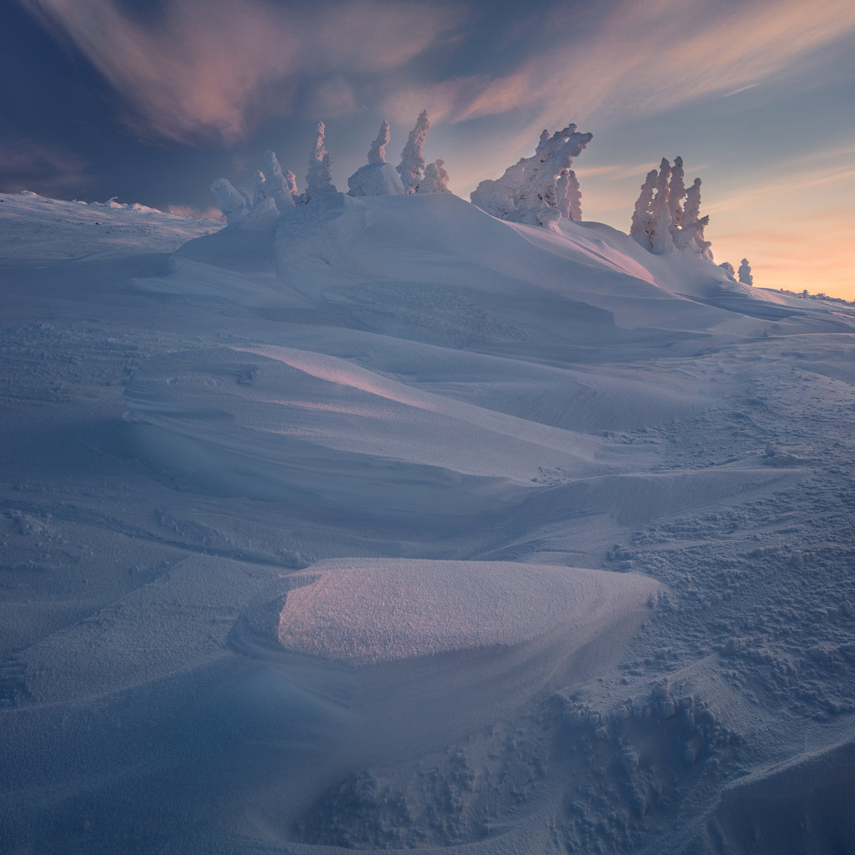 One frosty sunrise Poster och Canvastavla