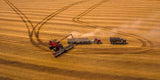 Autumn Harvest Poster och Canvastavla
