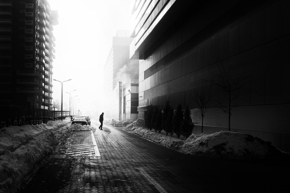 Morning light Poster och Canvastavla