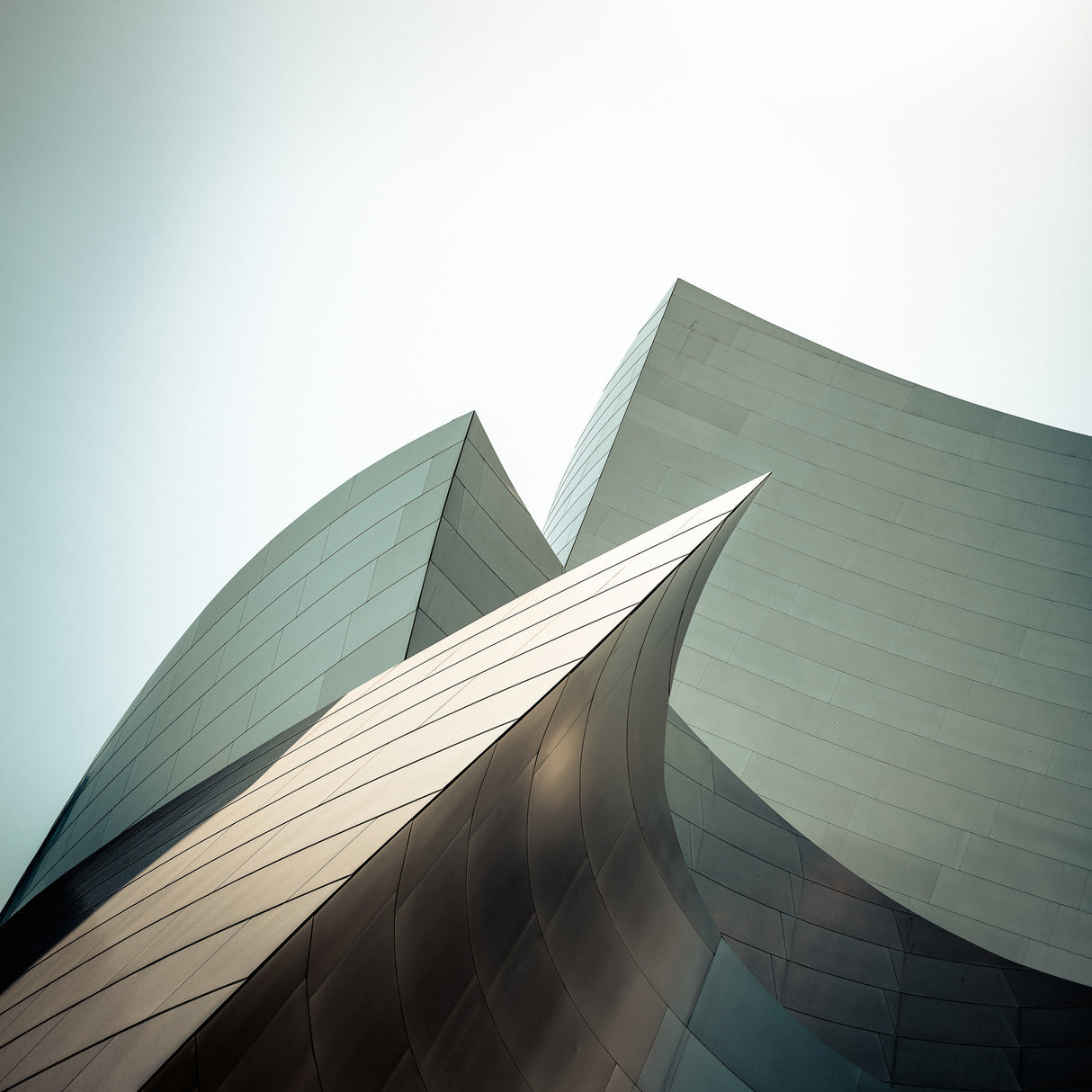 Walt Disney Concert Hall - study I Poster och Canvastavla